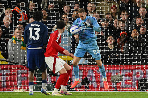 黄紫昌的梅 黄紫昌的梅